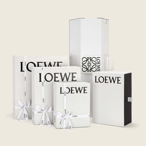 Global Shipping and Compliance - LOEWE grow international sales with Glopal Global Ecommerce for Brands