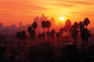 Palm-trees-skyline-Los-Angeles-background